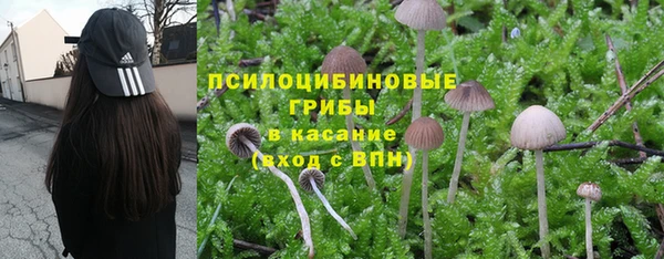 apvp Дмитриев