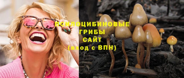 ECSTASY Елизово