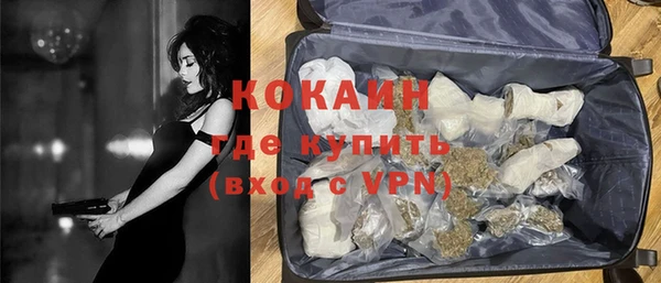 apvp Дмитриев