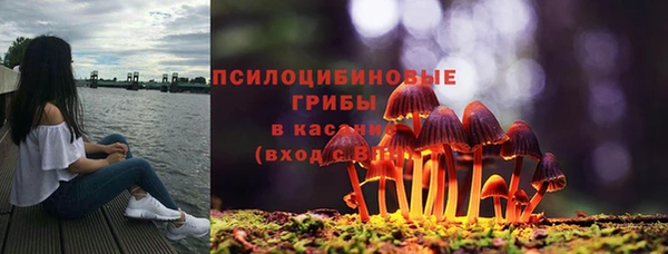 apvp Дмитриев