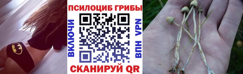 Псилоцибиновые грибы Psilocybe что такое наркотик Дубовка